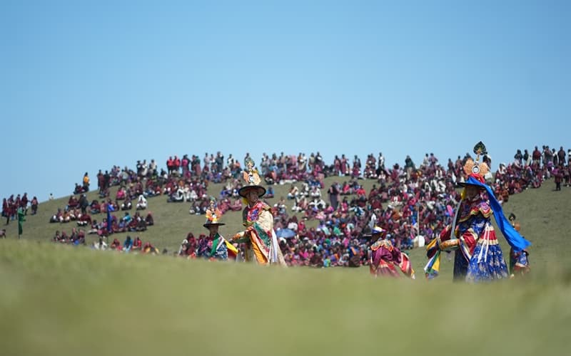 Rhododendron Festival